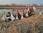 2 Pack Camo Thatch Duck Blind Grass Bundles