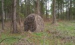 Woodland Ghillie Ground Blind Cover - Large Size