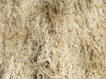 Large Camouflage Blanket for Two - Ghillie Suit
