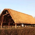 Thatch Roofing Rolls for Duck Blinds & Boats