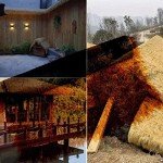 Palm Thatch Rolls for Duck Boat Blinds