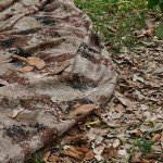 WINWAY Camo Burlap Netting for Hunting Blinds
