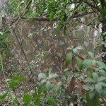 WINWAY Camo Burlap Mesh for Hunting Blinds