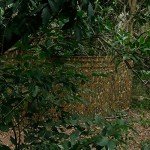 WINWAY Camo Burlap Mesh Fabric for Hunting Blinds