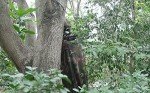 WINWAY Camo Burlap Mesh for Hunting Blinds