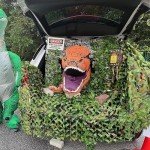 Camo Netting Roll for Hunting and Decoration