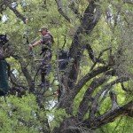 Hawk 20' Big Denali 1.5-Man SLS Ladder Stand | Durable Hunting Archery Steel 1 Person Tree Stand with Chair, Bow/Gun Holder, Footrest, Flip Back Shooting Rail & Noise Free Ladder