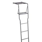 Guide Gear Climbing Ladder Tree Stand with Mesh Seat, Climbing Equipment for Deer Hunting, 15’