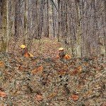BASSDASH Camo Netting for Hunting Blind Use