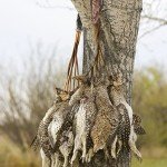 AUSCAMOTEK Waterproof Camo Waterfowl Carrier Strap