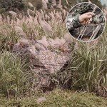 MOFEEZ Hunting Blind, 270°View with Silent Sliding Window, 2-3 Person Ground Deer Stand Pop Up Tent with Portable Bag and Tent Stakes (Camo, 58 "Lx58 Wx66 H) See Through