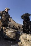 Waterfowl Floating Blind Bag - Medium Camo