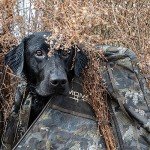 Momarsh Invisi Lab Dog Blind for Waterfowl Hunting & Gun Dogs | Optifade Timber