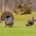 Lenotos Easy-Setup 2-Panel Ground Hunting Blind