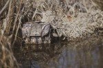 ALPS OutdoorZ Floating Blind Bag - Mossy Oak