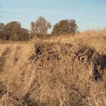 Drake Waterfowl 4-Man Ghillie Hunting Blind