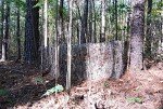 Mossy Camo Ghillie Turkey Hunting Blind Cover