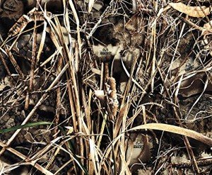 Realtree Max-7 Camo 600D Water-Resistant Fabric