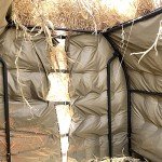 Venatic A-Frame Hunting Blind