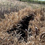 Venatic A-Frame Hunting Blind