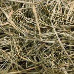 Momarsh InvisiGrass Bundle | Waterfowl Blind Concealment