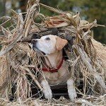 Momarsh InvisiGrass Bundle | Waterfowl Blind Concealment