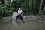 Wetland Camouflage Dog Blind for Hunting Dogs