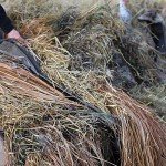 Momarsh InvisiGrass Blend for Waterfowl Blinds