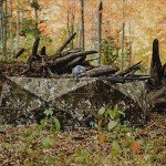 Barronett Blinds Field Shield Adjustable Panel Blind