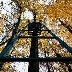 Rivers Edge Jumbo Jack 1-Man Ladder Stand, RE658, 17’1” Height, Wide Flip-Up TearTuff Mesh Seat, Jumbo Platform, Flip-Out Footrest, 2-Way Adjustable Shooting Rail