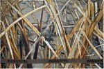 Beavertail Wetland Series Boat Blind Top