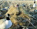 Avery Killerweed Layout Blind Cover - Gold Harvest