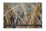 Beavertail Big Gunner Layout Blind - Karma 401364