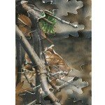 Auscamotek Ground Blind 5×10 Feet for Deer Hunting Turkey Blinds Camouflage Pattern Height Adjustable -Woodland Brown Leaf
