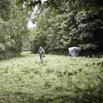 Ameristep Element Noise-Free Hub-Style Ground Blind