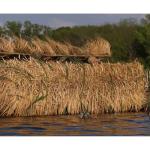 Avery GHG RealGrass Pack of 4 Bags