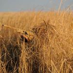 Avery Outdoors Killerweed Cattail Hunting Blind