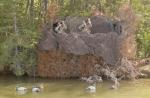 Camosystems Premium Camouflage 9'10" x 9'10" Net