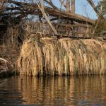 Avery Killerweed Boat Blind System