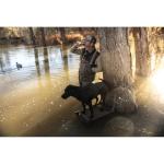 Momarsh Foldable Dog Ramp for Hunting & Training