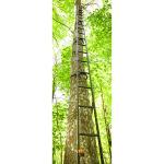 Guide Gear Climbing Ladder for Tree Stands, Climbing Equipment for Deer Hunting, 20’