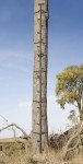 Muddy Quick-Stick Climbing System / 20ft Reach/Alternating Step Design