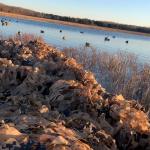 LOOGU Camouflage Netting for Hunting and Camping