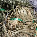 Killerweed Willow Cypress Boat Blind Kit