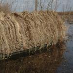 Killerweed Willow Cypress Boat Blind Kit