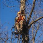 BOG TreePod Adjustable Hands-Free Hunting Rest