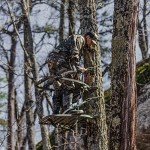 Summit Treestands Titan SD Climbing Treestand