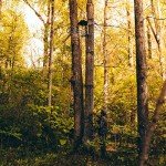 Rivers Edge® Big Foot™ Rogue XL Lever-Action Hang-On Treestand, Flip-Up TearTuff™ Mesh Seat, 24” x 37” Large Platform, Footrest, RE562