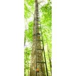 Guide Gear Climbing Ladder for Tree Stands, Climbing Equipment for Deer Hunting, 20’