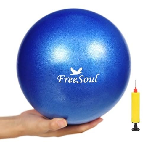 9-Inch Mini Pilates Ball with Pump for Core Training